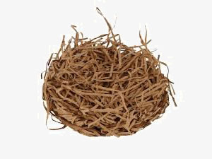 Sizzle nest y nidos de sizzle nest