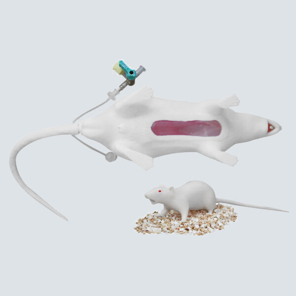 MODELO DE RATA. NATSUME RAT