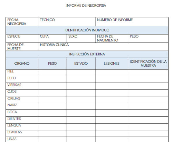 Plantilla para informe de necropsia rata/ratón
